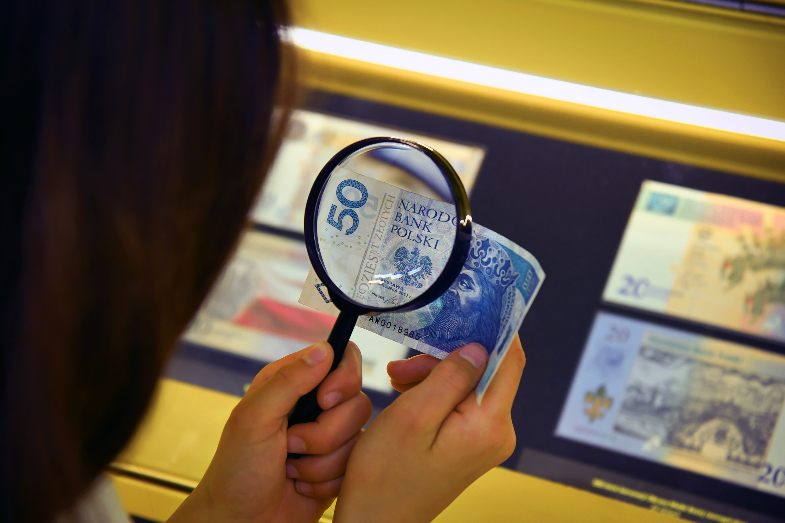 Zdjęcie Aktualności - Lato w Mieście 2025